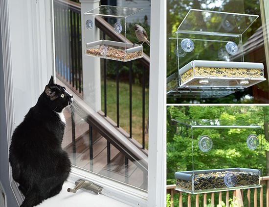 PetfusionWindowBirdfeeder.jpg