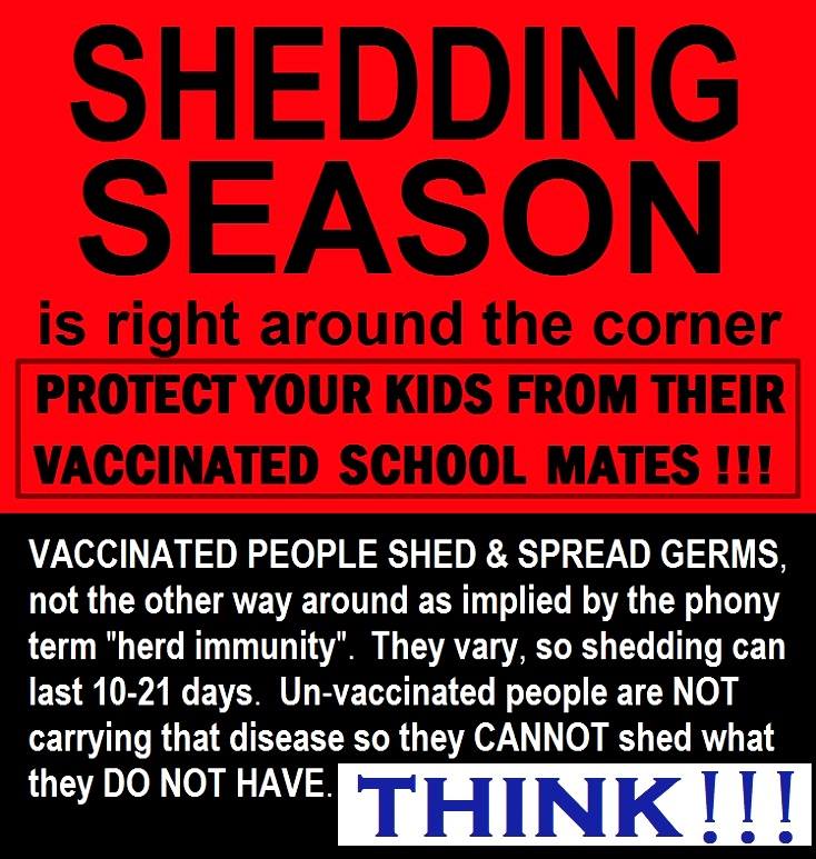 vaccine shedding.jpg