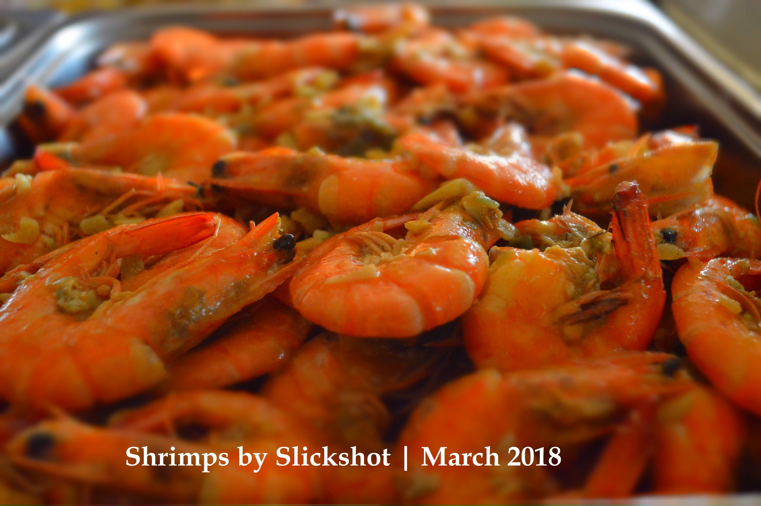 shrimps by slickshot.jpg