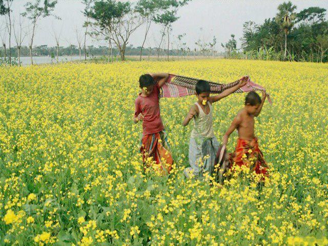 natural_beauty_of_Bangladesh.jpg