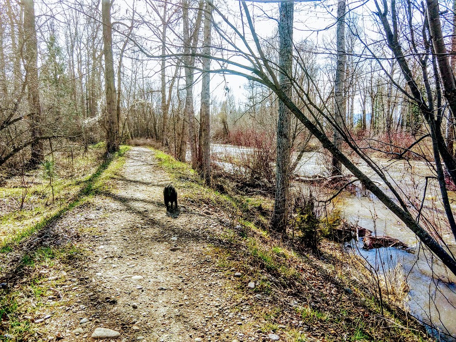 IMG_20180422_164857579_HDR.jpg