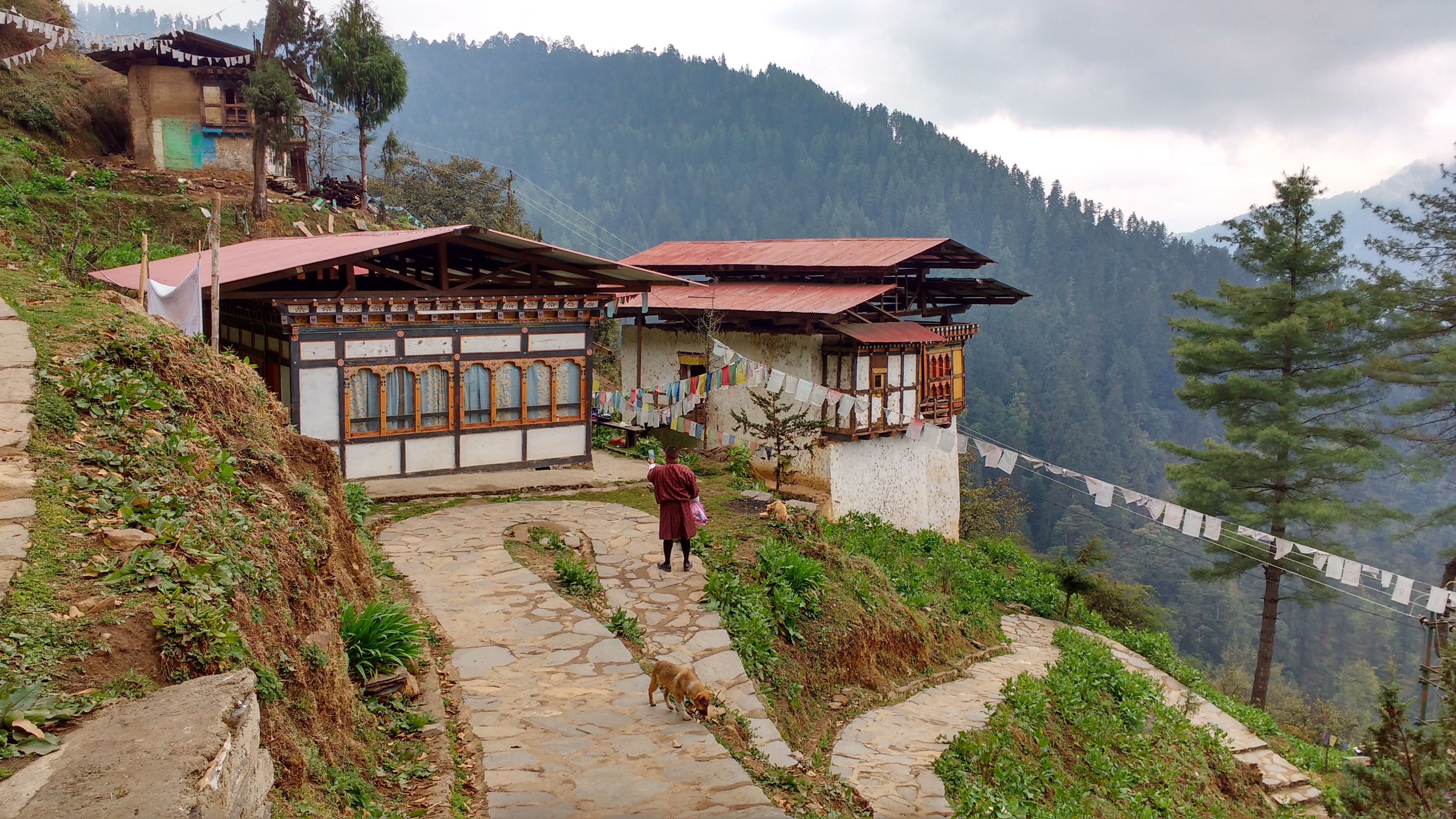 Kết quả hình ảnh cho tango bhutan