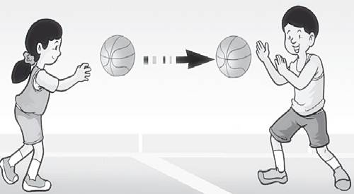 Bola Basket JPG Gambar Olahraga yang Memukau