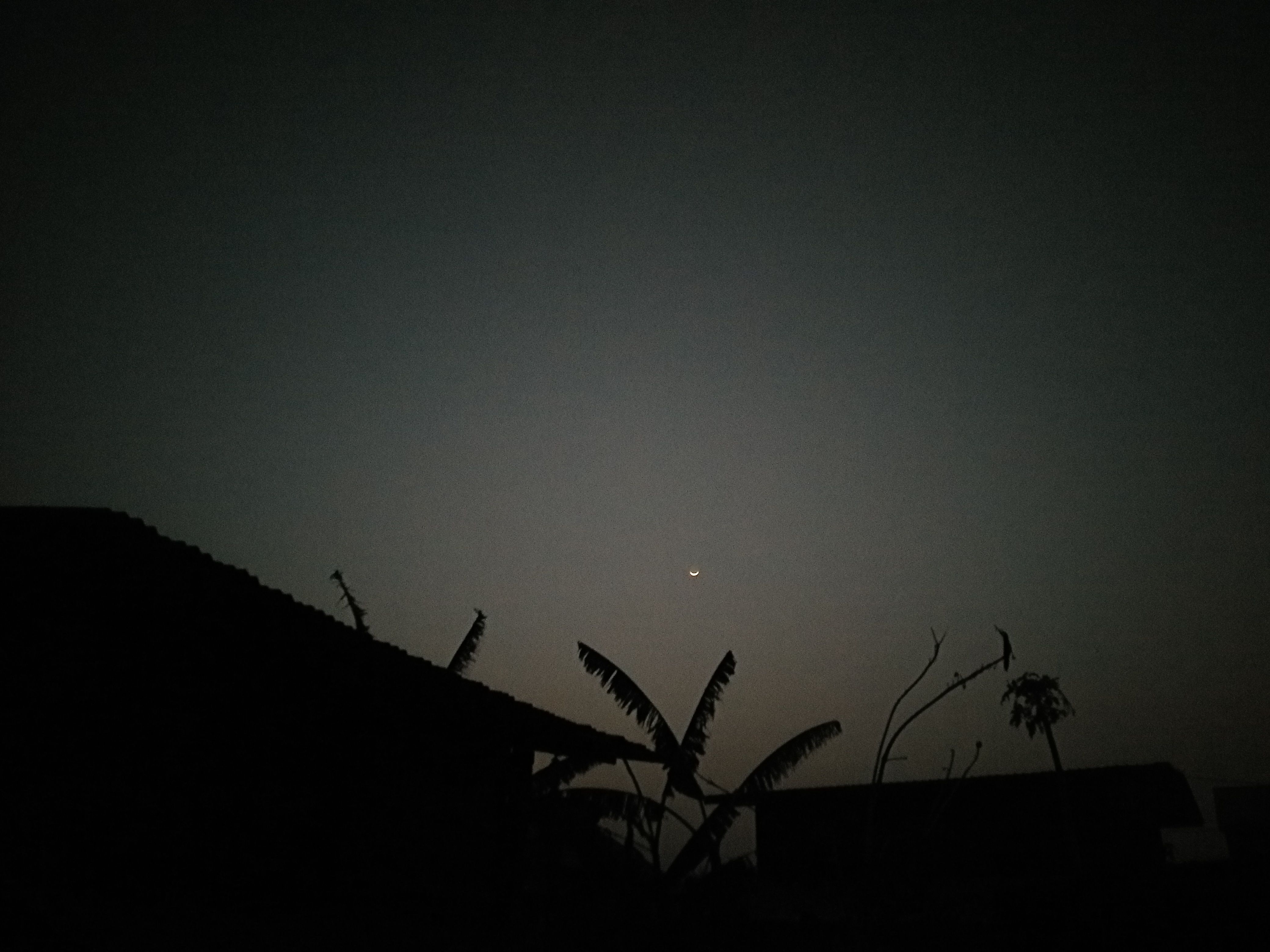 IMG20180218183706.jpg