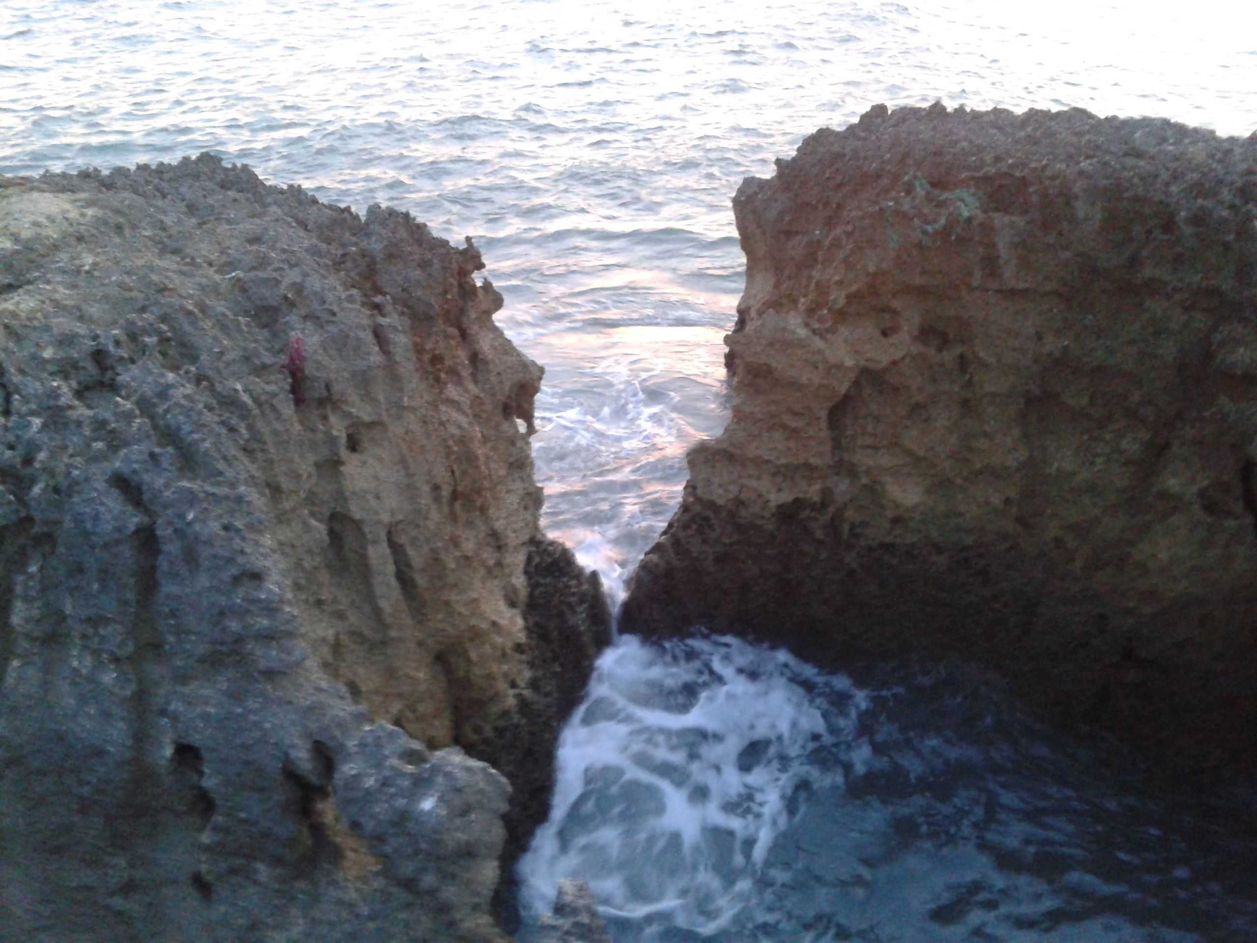 2011-10-16 20.06.47.jpg