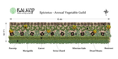 Epictetus planting scheme (1).jpg