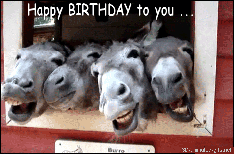 funny_happy_Birthday_to_you_photo_pics_ecards_gif_movies_gifs_animation_animated_.gif_format_free_download_donkey_animals_happy_birthday_quotes_funny_for_best_friends_quotes_images_email_1.gif
