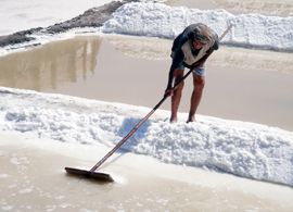 Artisan salt production.jpg