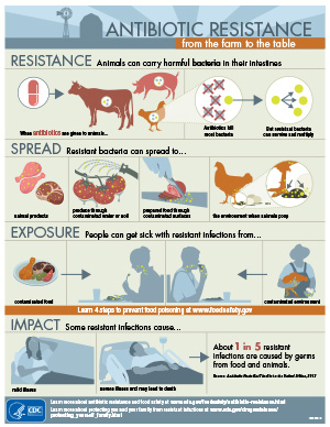 ar-infographic-300px.jpg