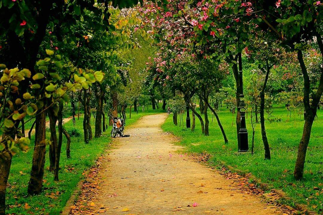 Beautiful Places In Islamabad Steemit