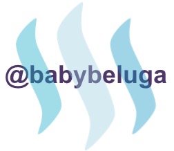 BabyBelugaSteem.jpg