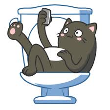 toilet selfie-cat.jpg