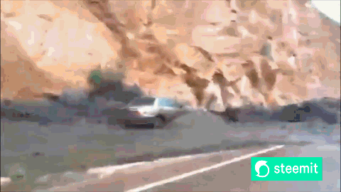 228.gif