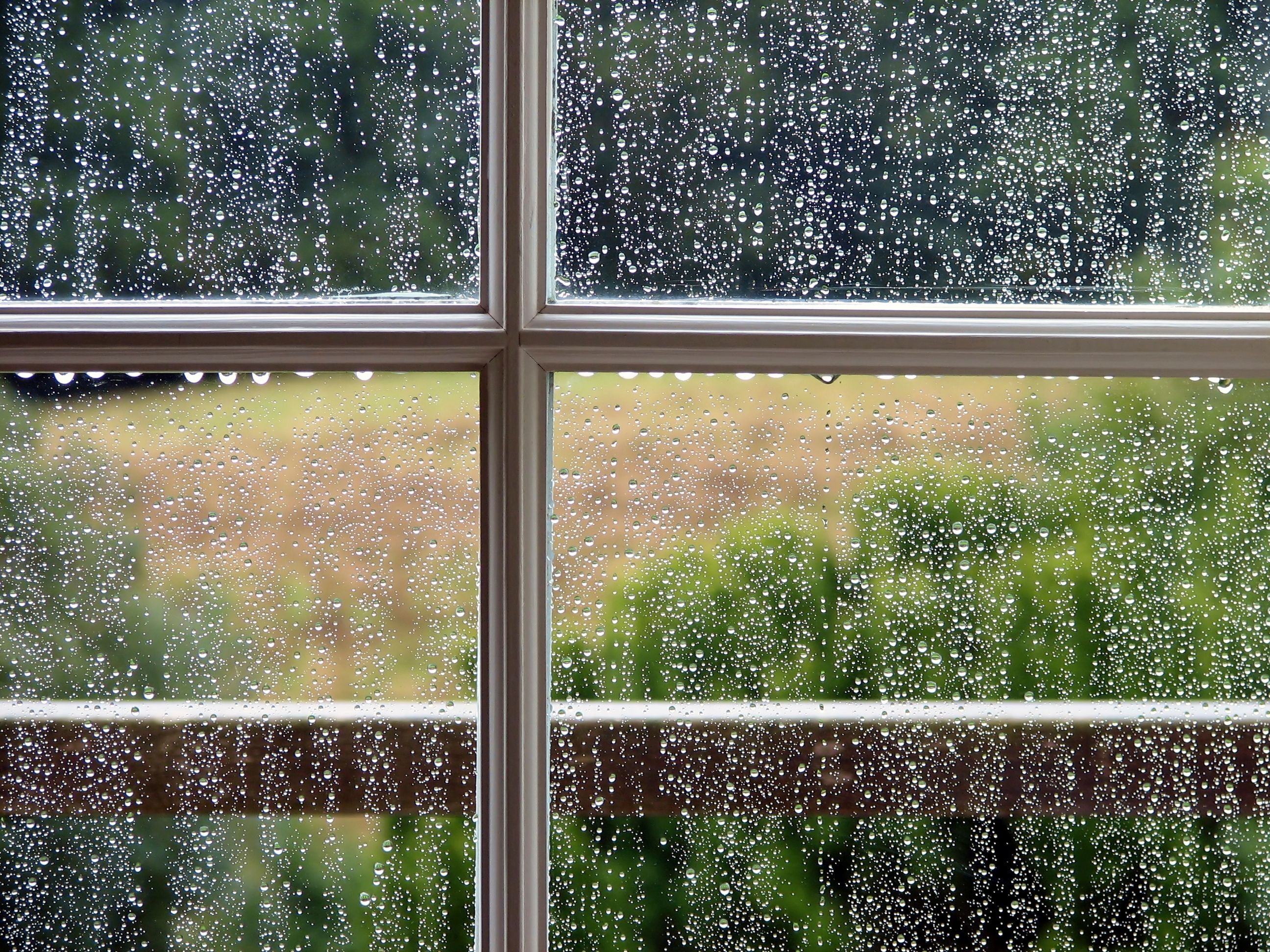 В стекла окон стучал. Дождь в окне. Капли на окне. Дождь из окна. Летний дождь за окном.