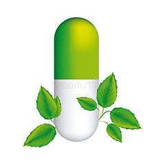 SP pill-medical-capsule-shape-decorative-leaves-illustration-87774771.jpg