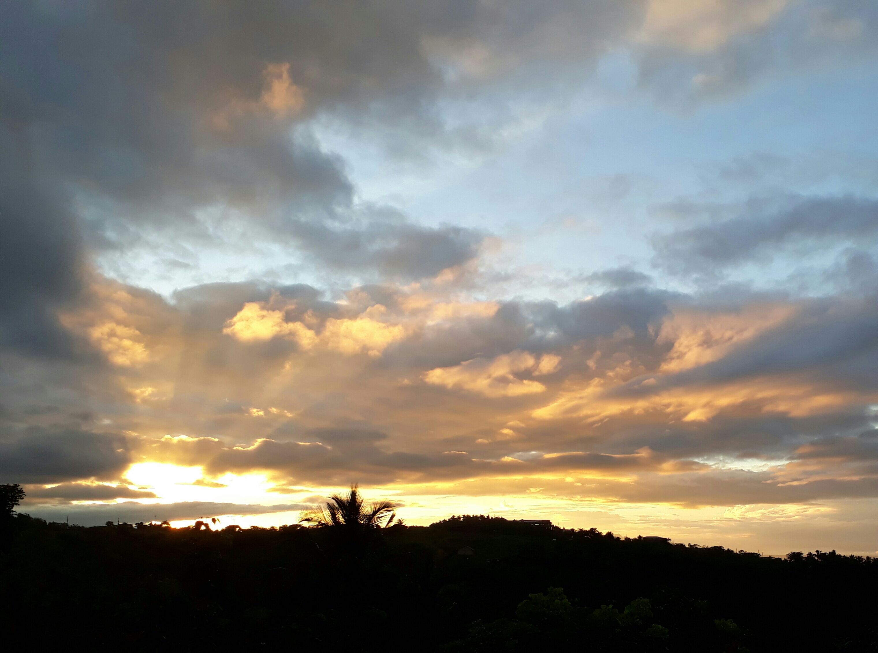 20171119_073905.jpg