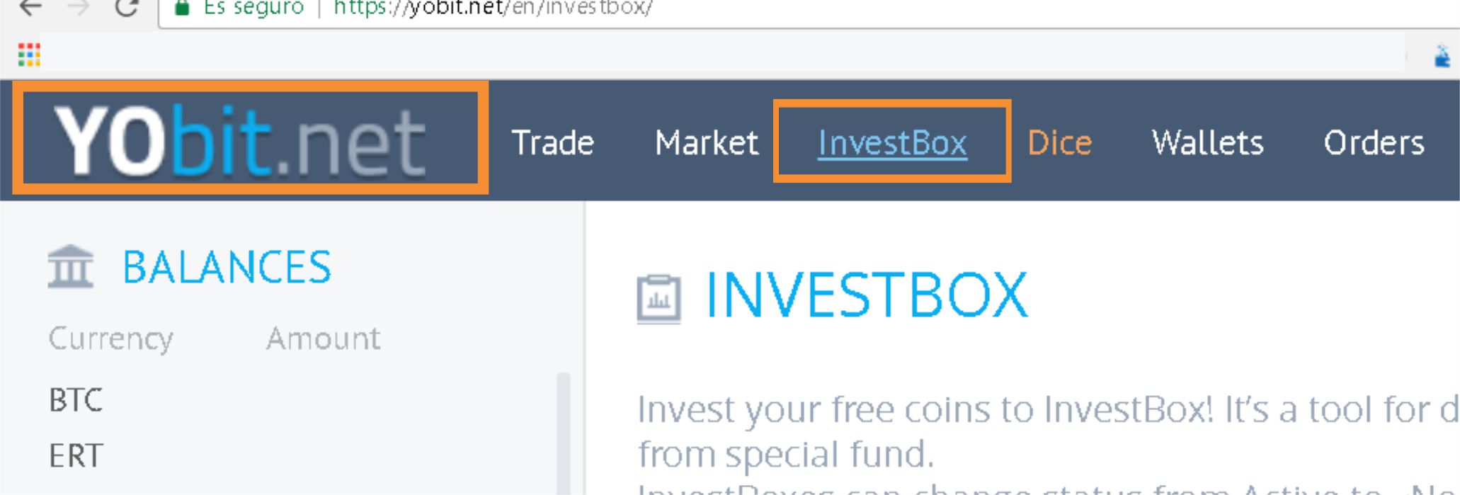 Liza Fever Investbox 10 Daily In Yobit Steemkr