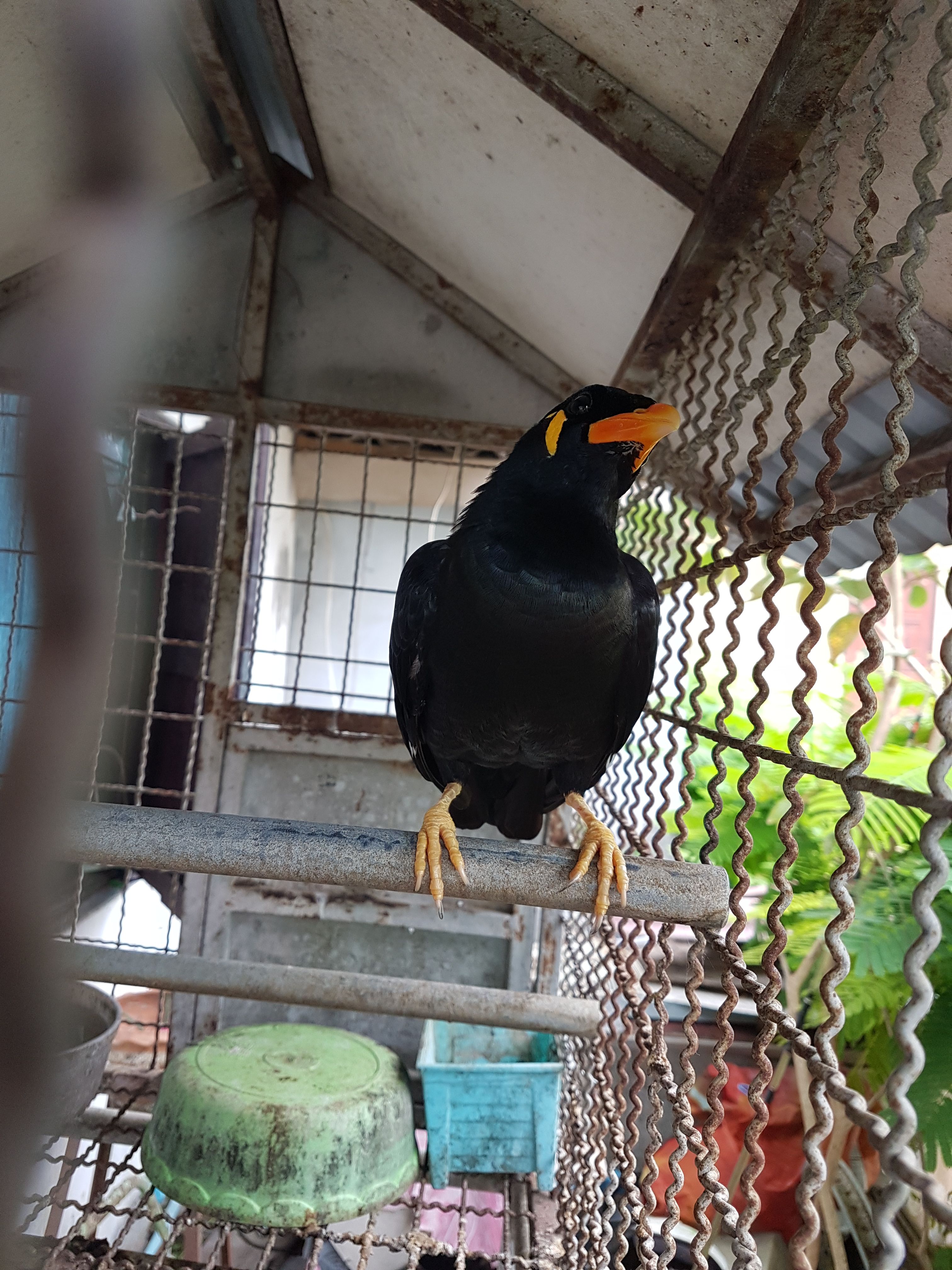 20170920_154218.jpg