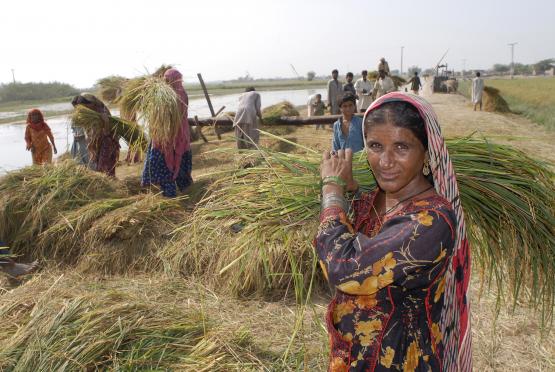 womens_right_to_land_key_for_promoting_sustainable_agriculture.jpg