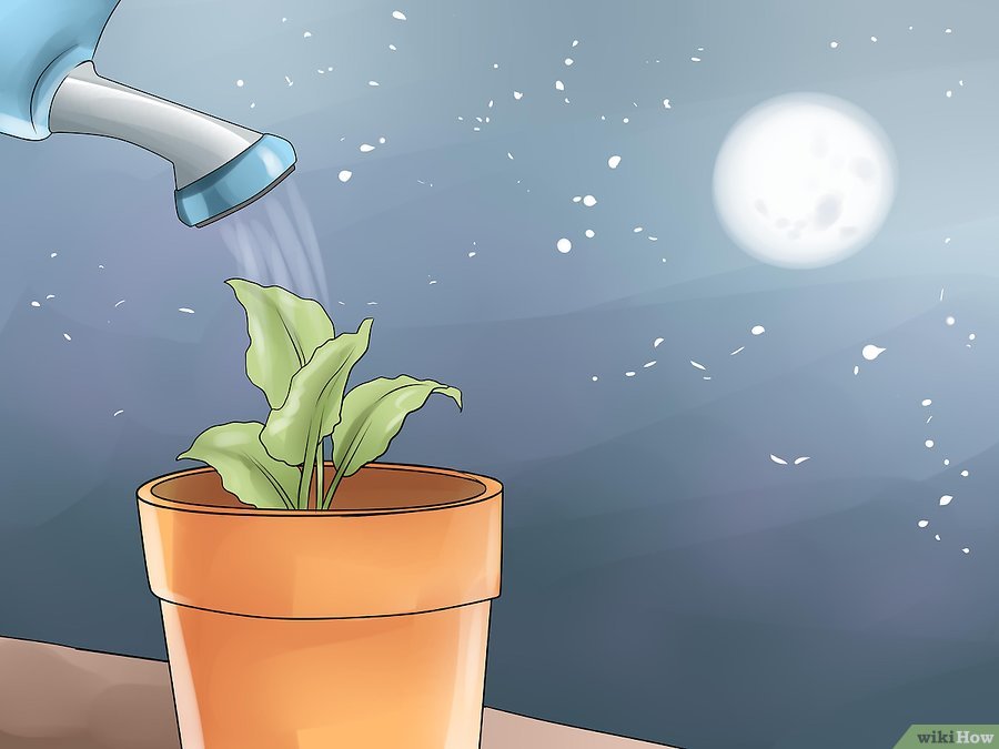 v4-900px-Choose-the-Best-Time-for-Watering-the-Garden-Step-3.jpg