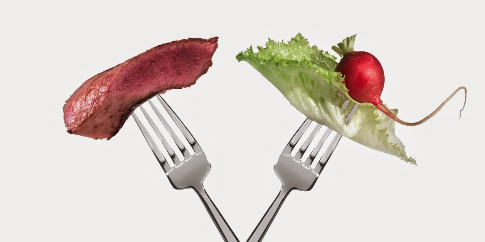 meat vs vegan.jpg.