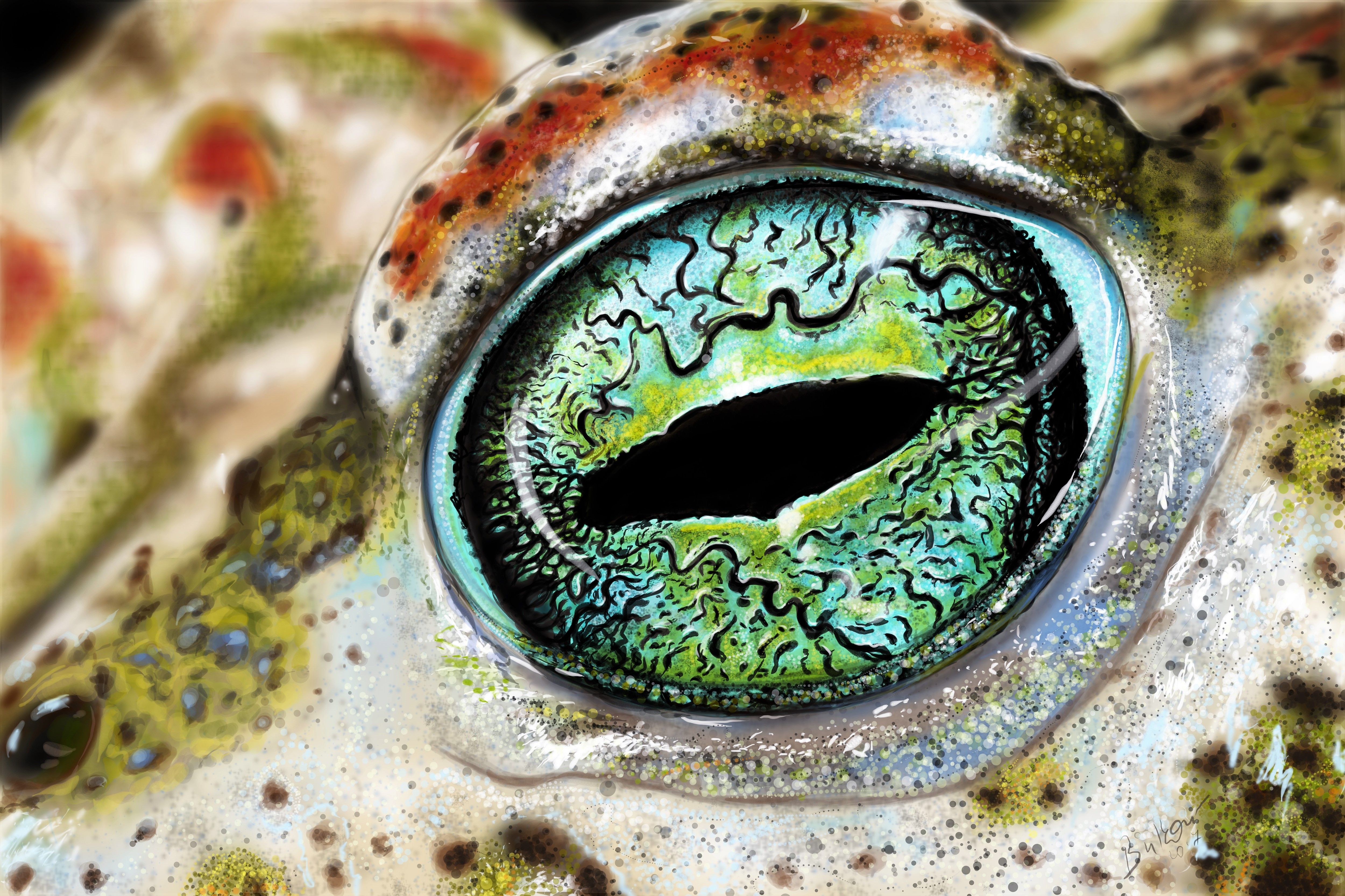 frog eyes