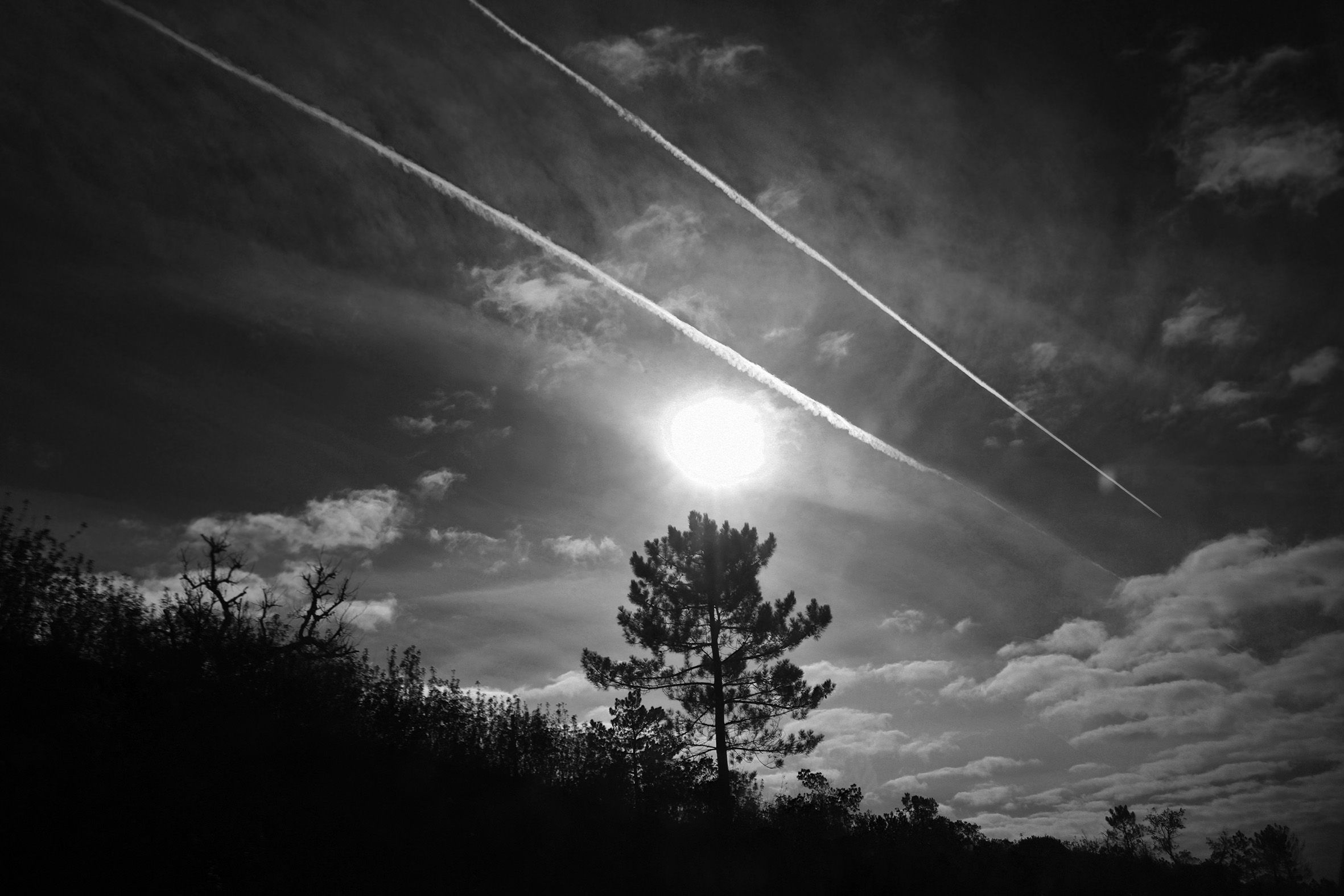 sky plane bw.jpg