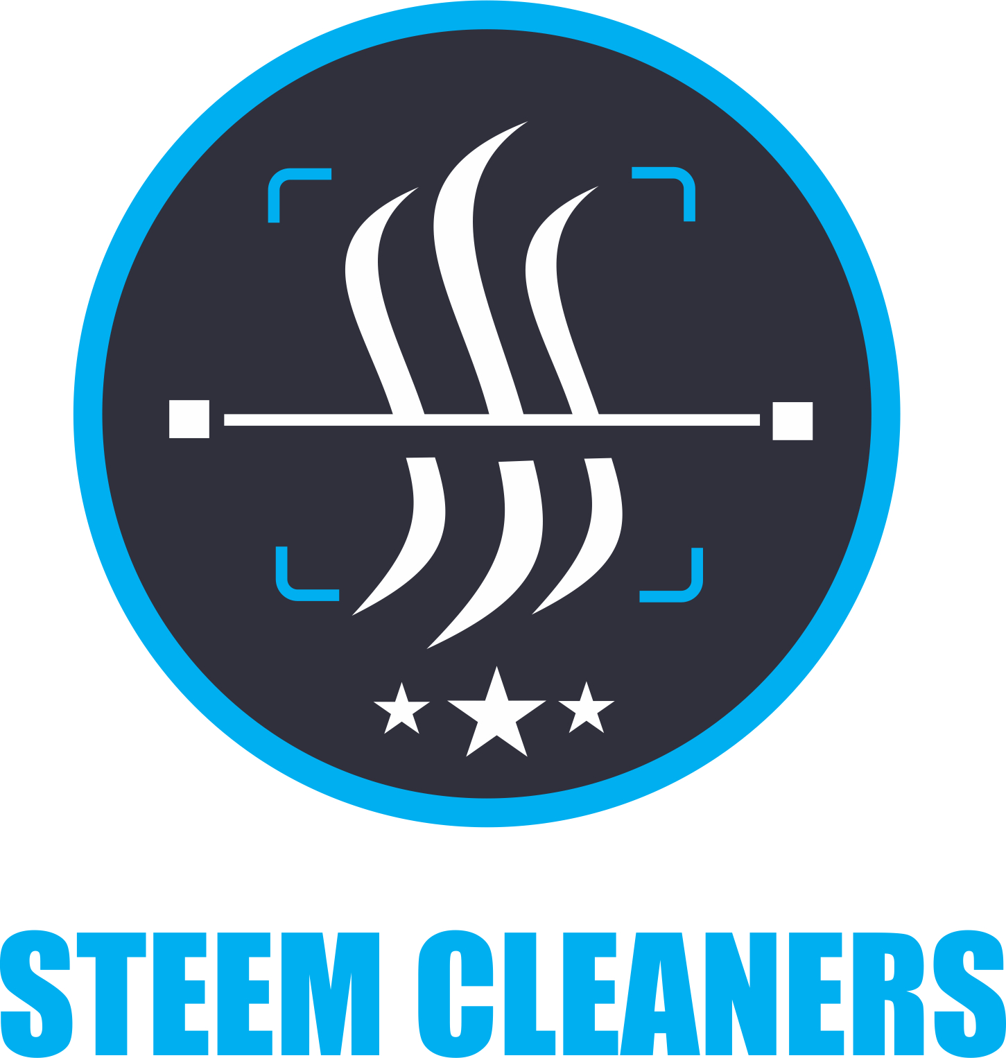 STEEMIT CLEANERS.jpg