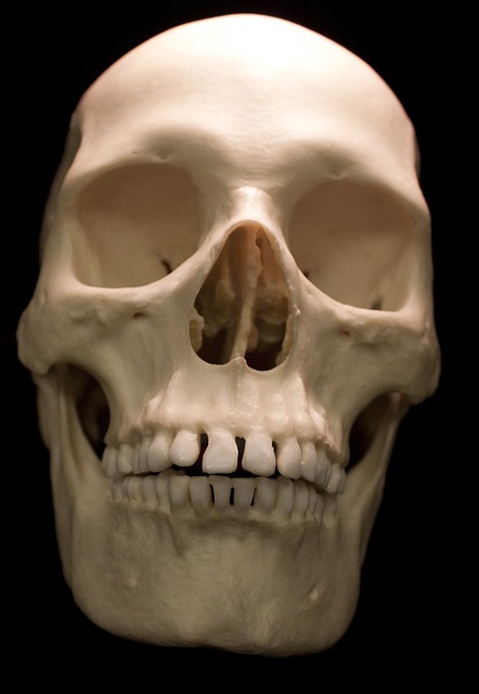 skull-640125_640.jpg