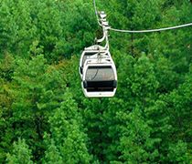 Patriata-New-Murree-Cable-Car-over-a-lush-green-forests.jpg