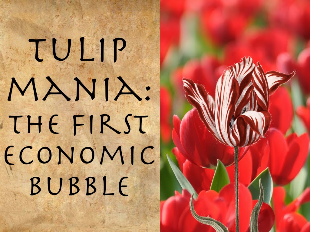 tulip mania.jpg