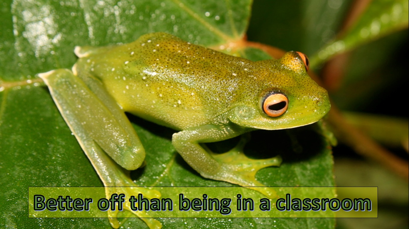 ClassroomA.jpg