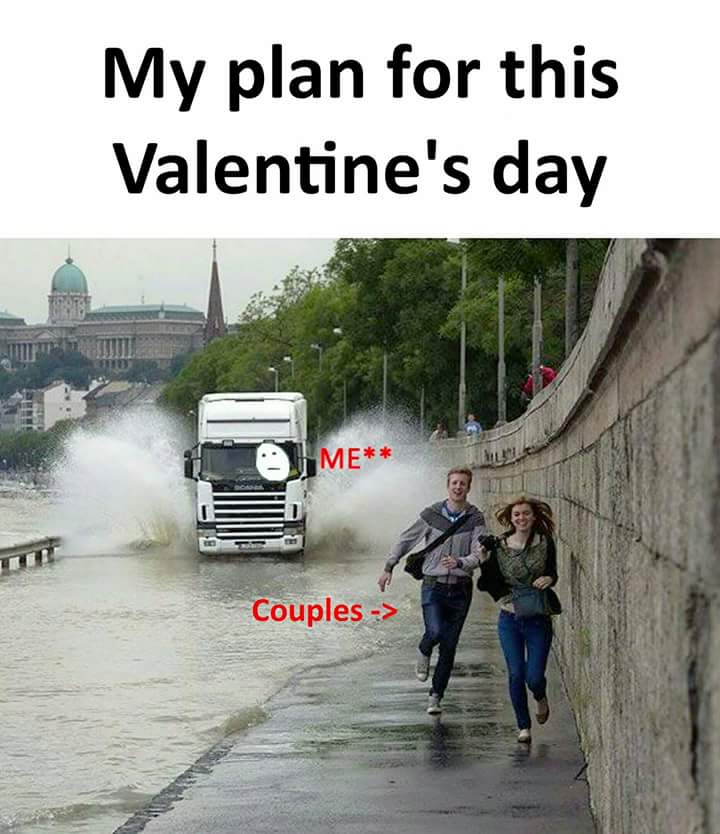 FB_IMG_1517044937799.jpg