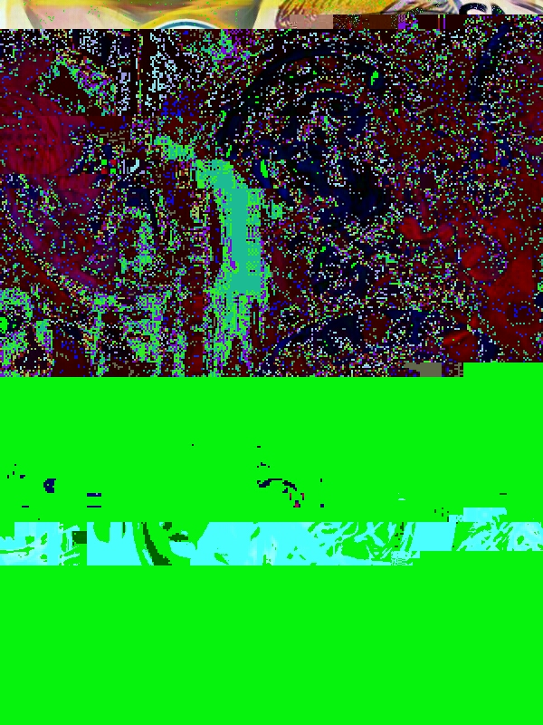 20171015231008_glitch.jpg