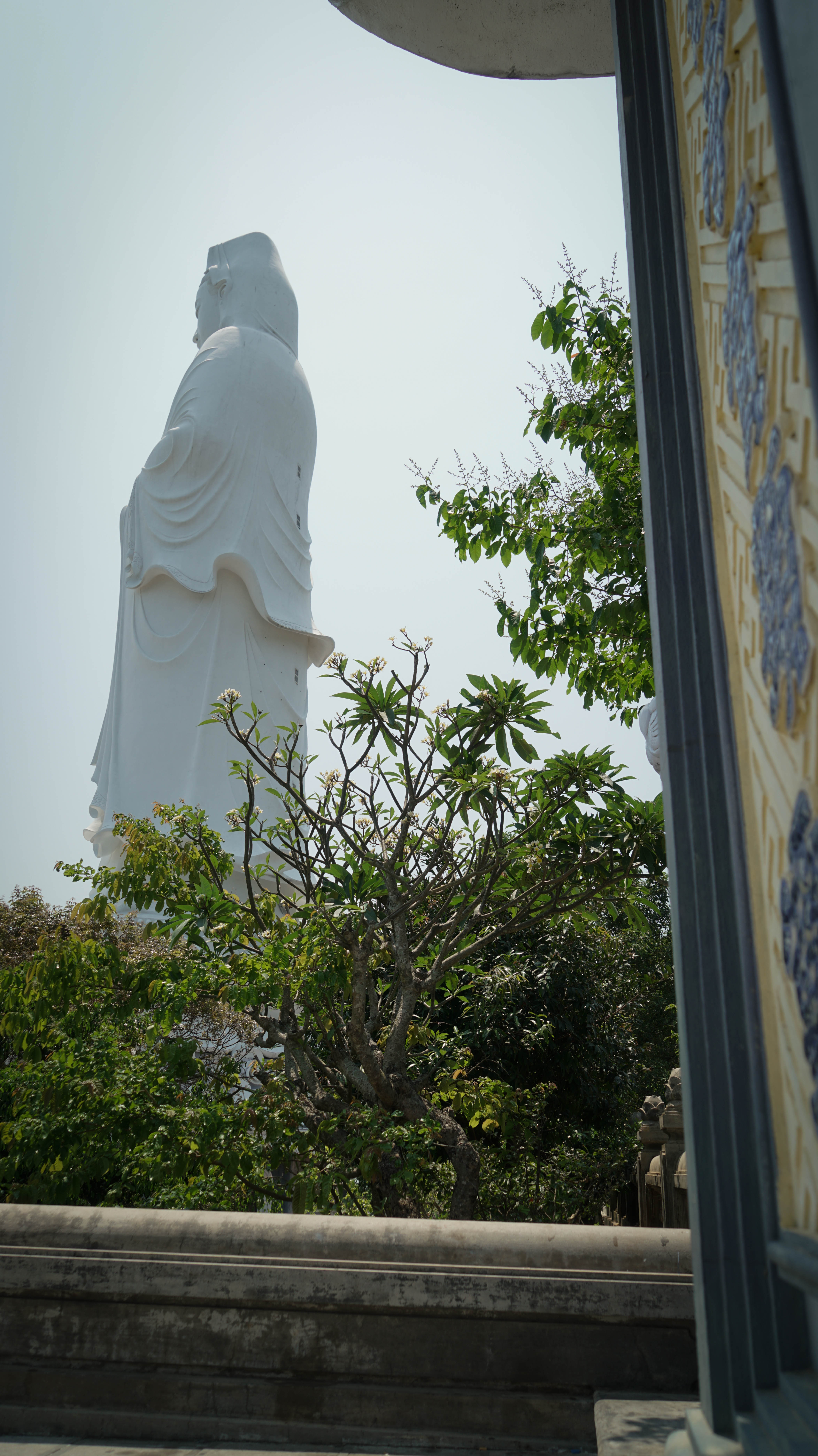 DSC08862.jpg
