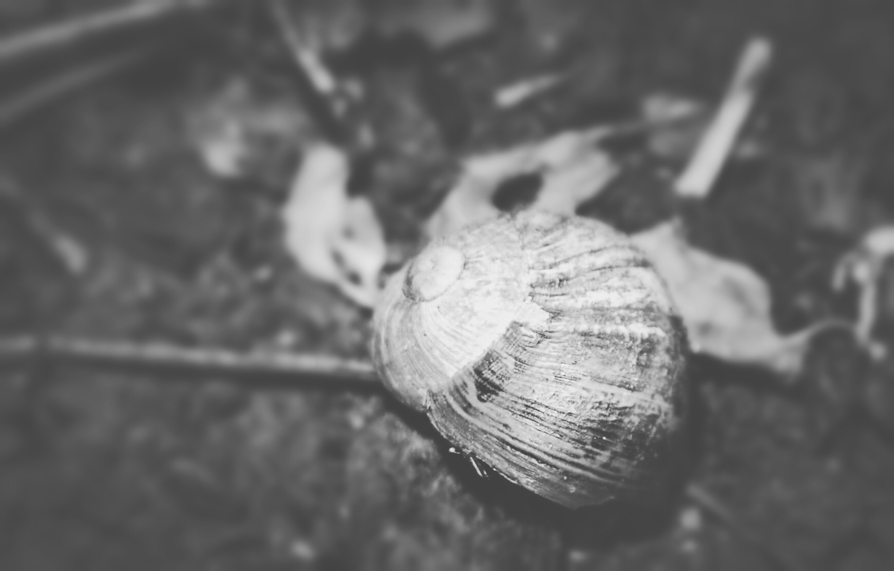 BDA0C41B-33D5-402A-9533-01A29E8AD9C9.jpeg