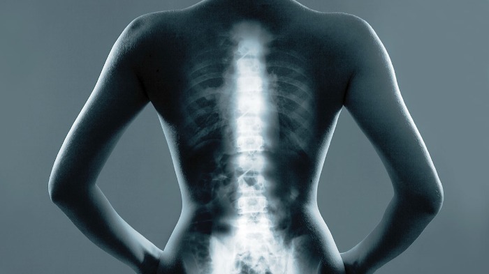 spine (1).jpg