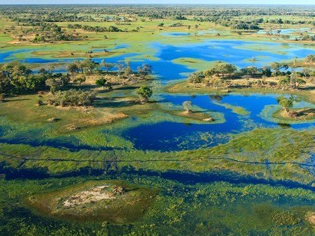 okavango-delta-botswana-cr-getty.jpg