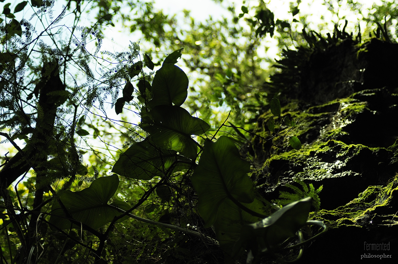 _DSC0783.JPG