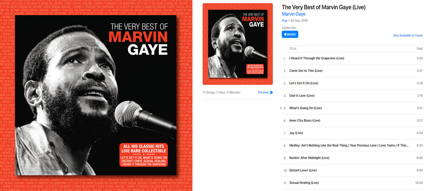 MARVIN GAYE - THE VERY BEST OF MARVIN GAYE (LIVE)(2016)(DJ ROBERT).jpg