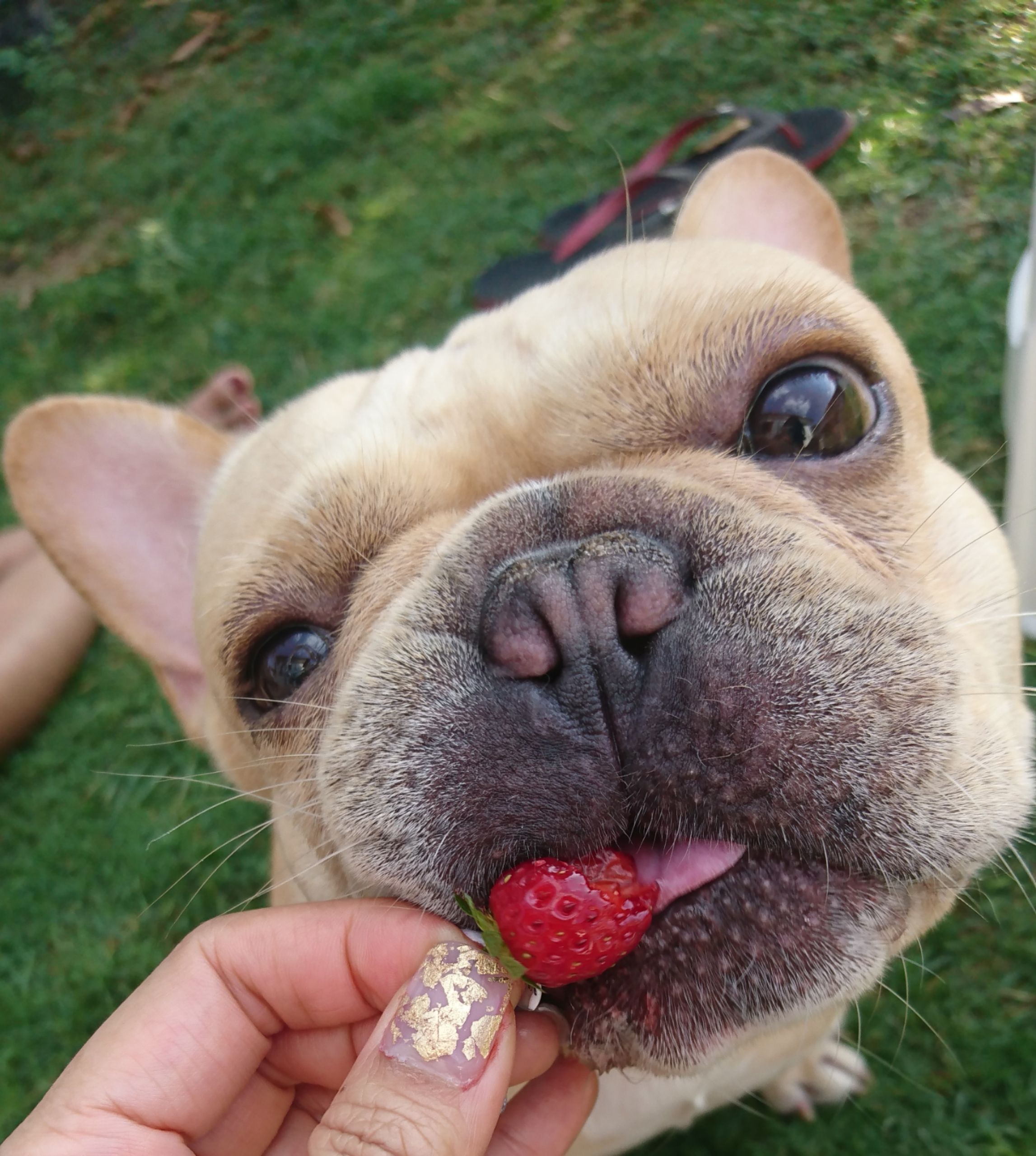 18-02-17-15-32-24-869_deco (1).jpg