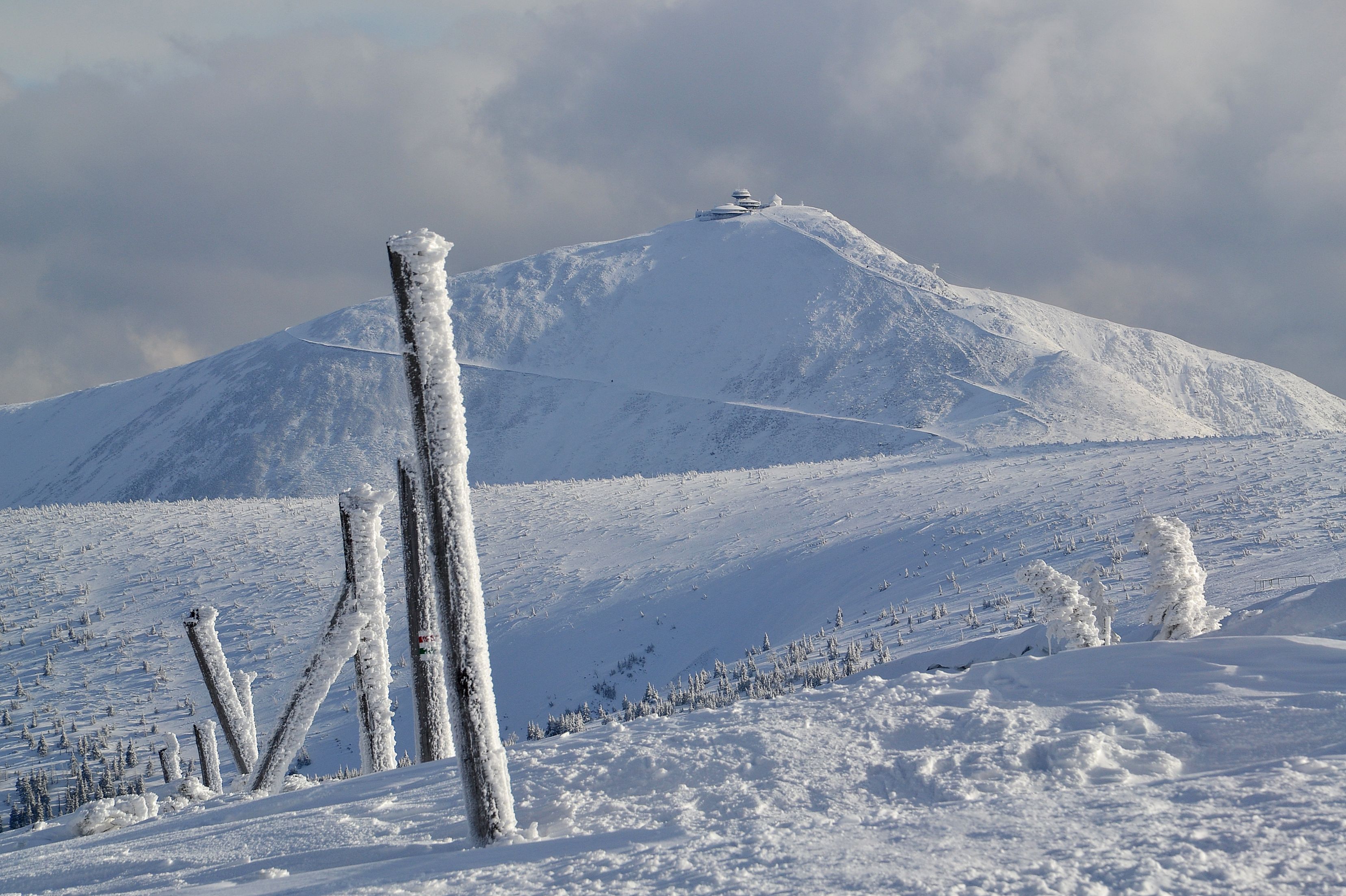 Śnieżka_(Sněžka,_Schneekoppe)_-_view_from_Słonecznik_(Mittagstein,_Polední_kámen).jpg