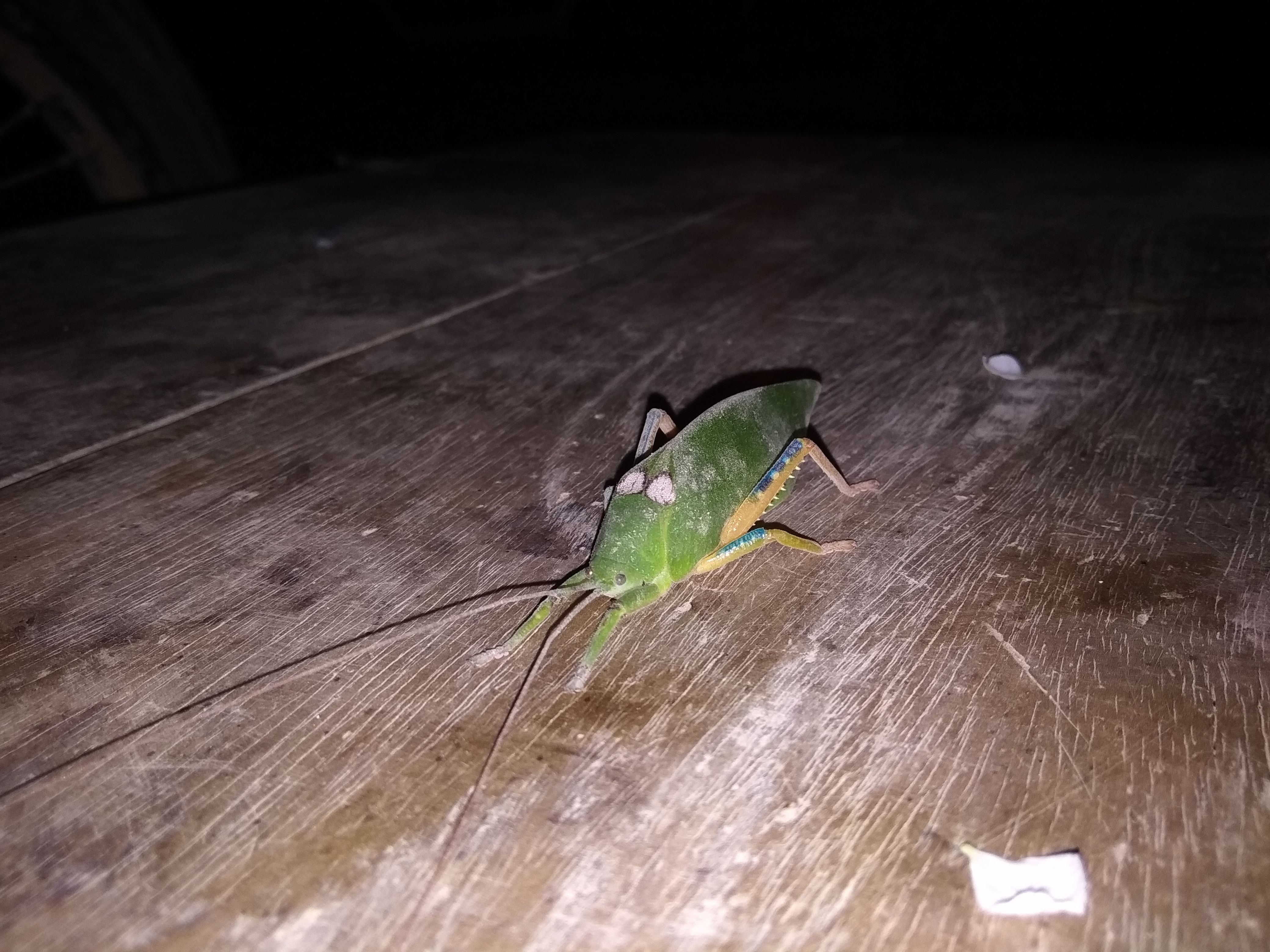IMG_20180327_223914.jpg