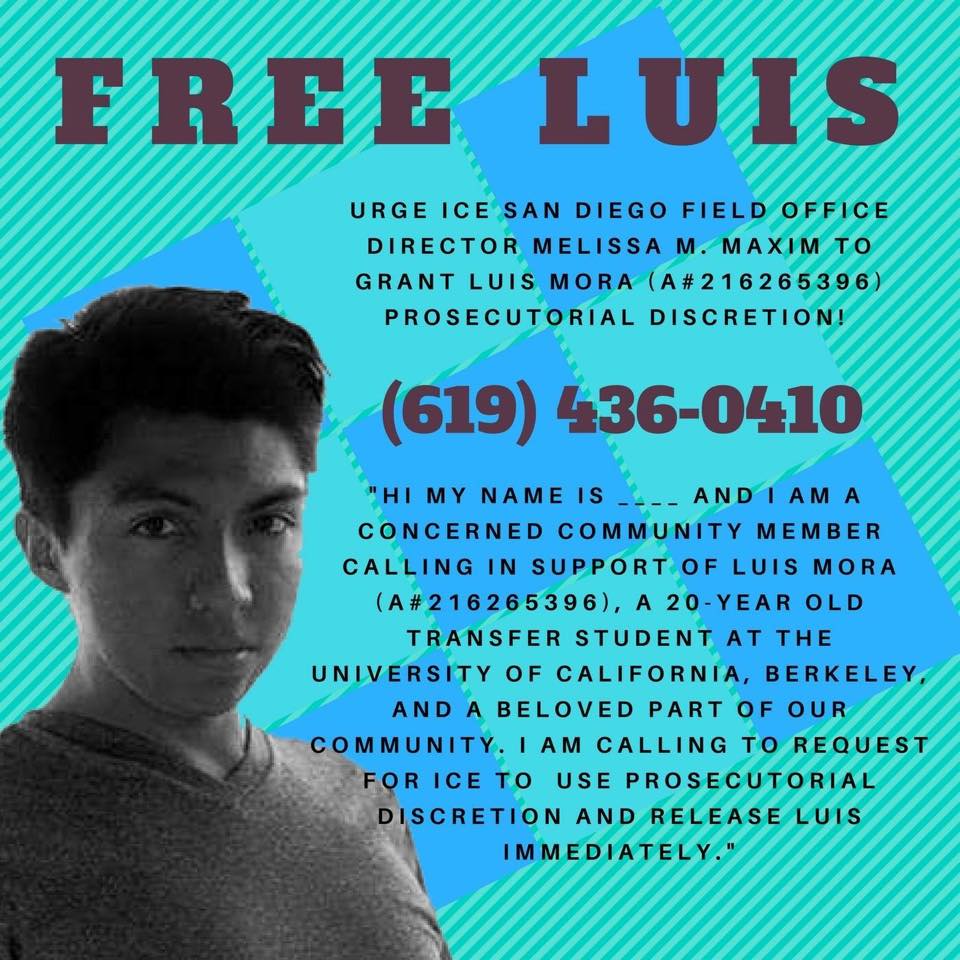 free luis.jpg