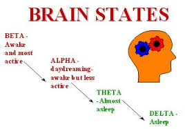 brainstates.jpg