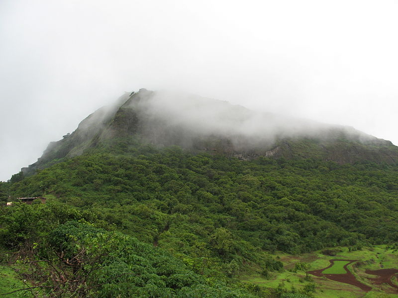 800px-Misty_mountain_top_-_Lohagad_Fort.jpg