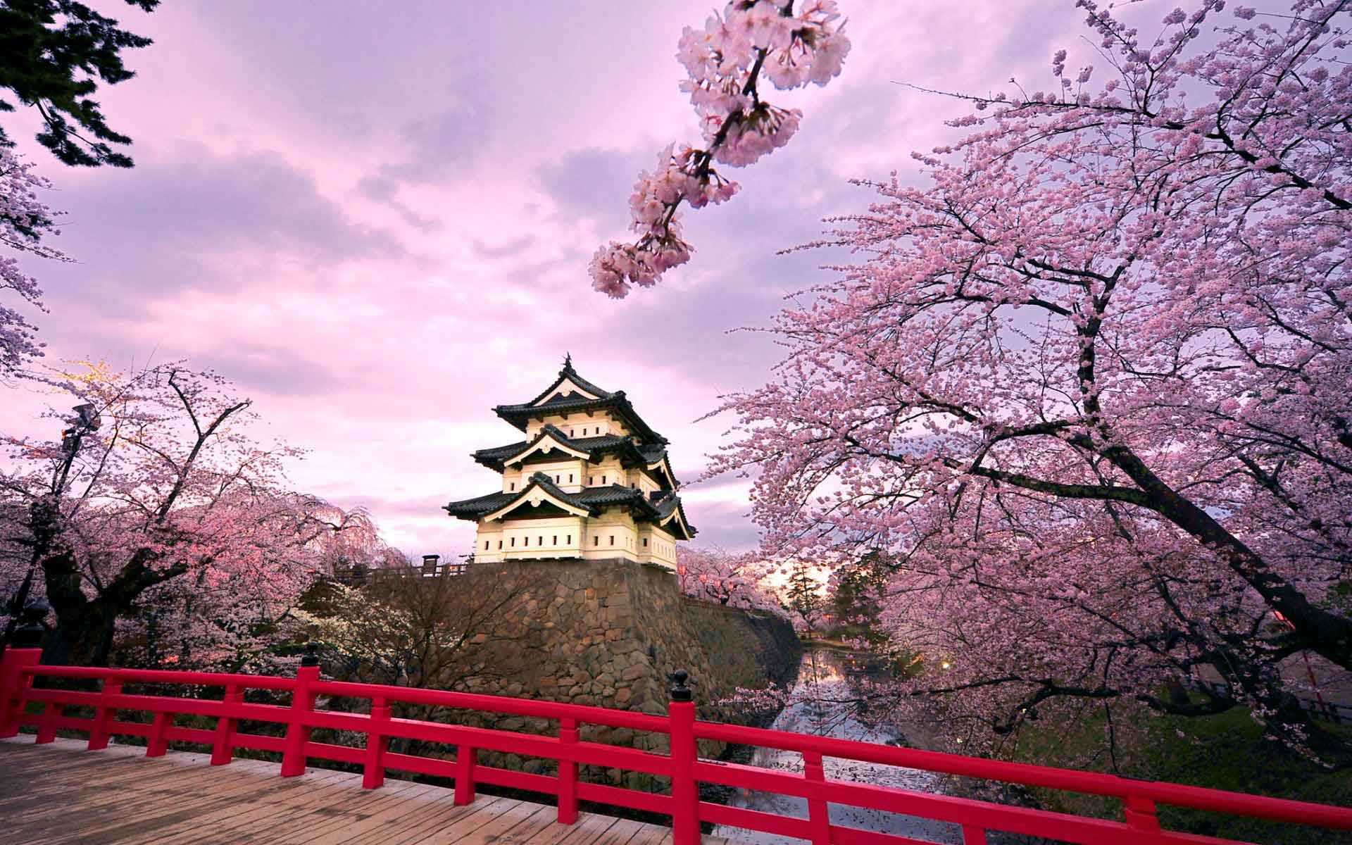 hirosaki_castle_japan-wide.jpg