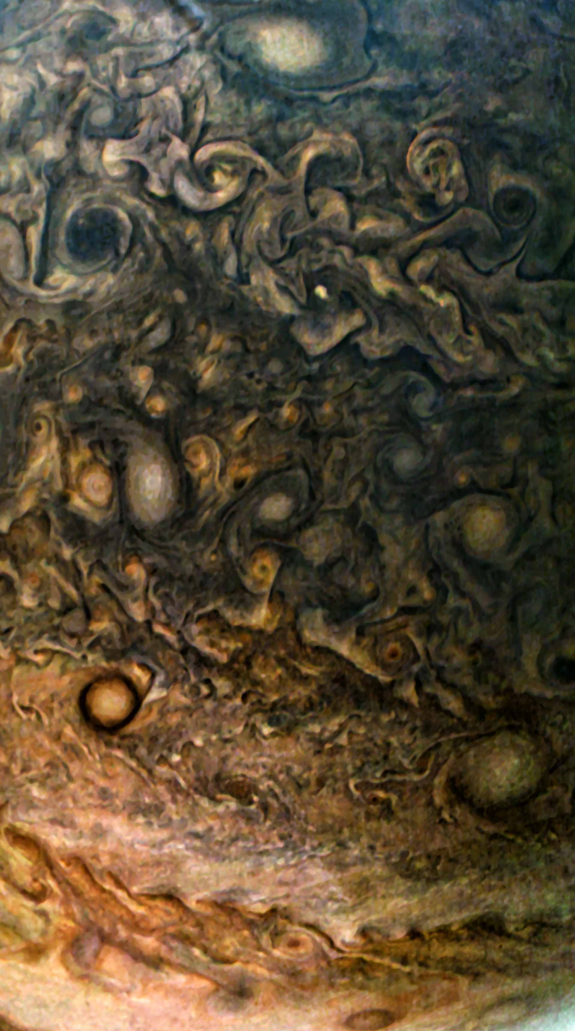 Juno12.jpeg