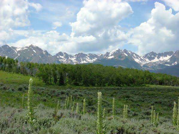 Mountains with Snow