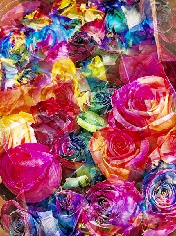 blend-rainbow-roses-two-boquets.jpg